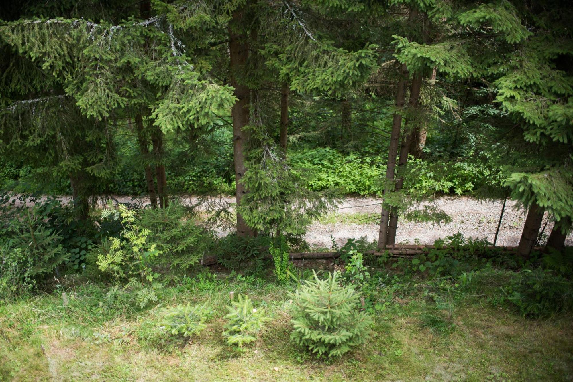 Lesna Kokava Villa Kokava nad Rimavicou Exteriör bild